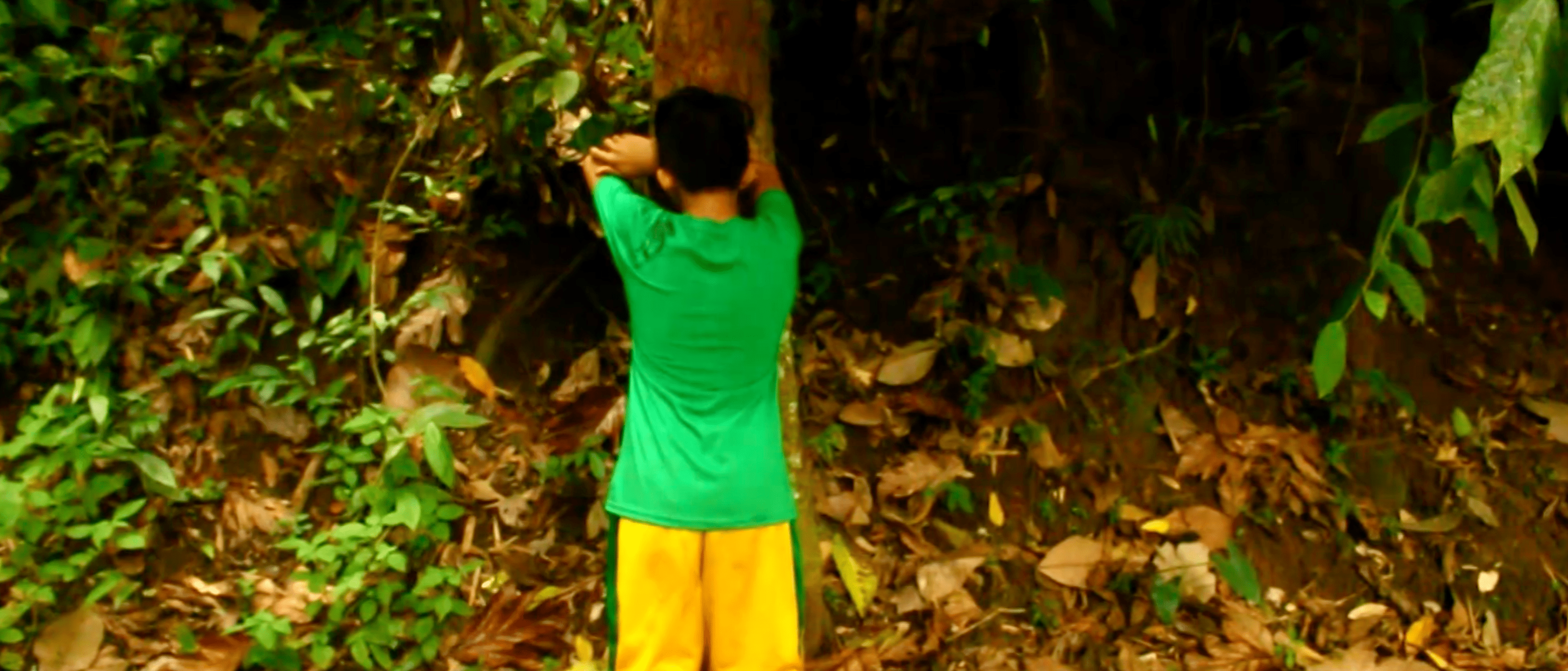 08 Dalingsil