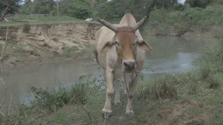 Ang Ikaduhang Pagbalik